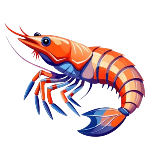 prawns removebg preview