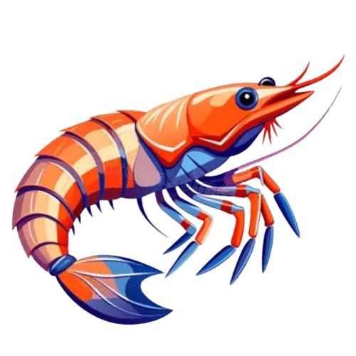 untitled design 4 removebg preview